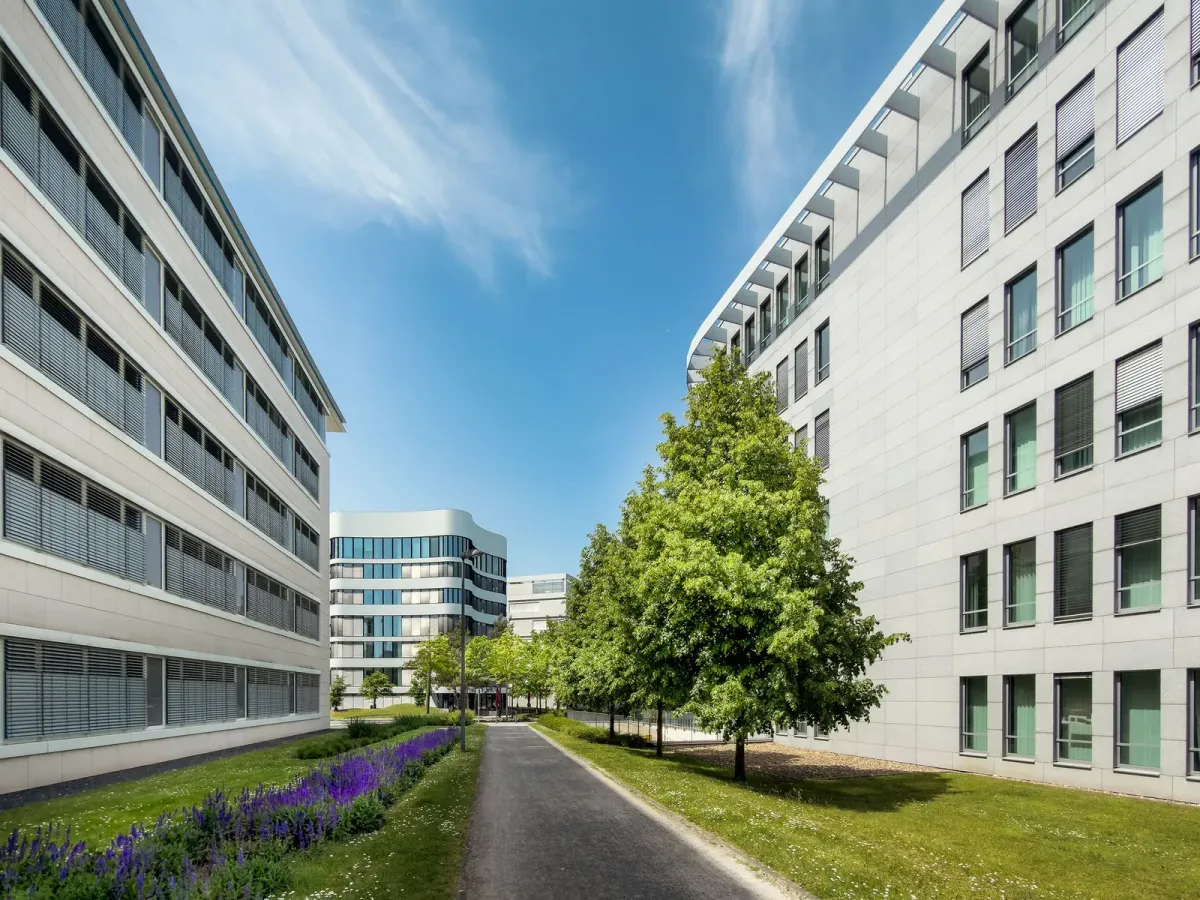 A tree-lined path between two modern office buildings under a blue sky