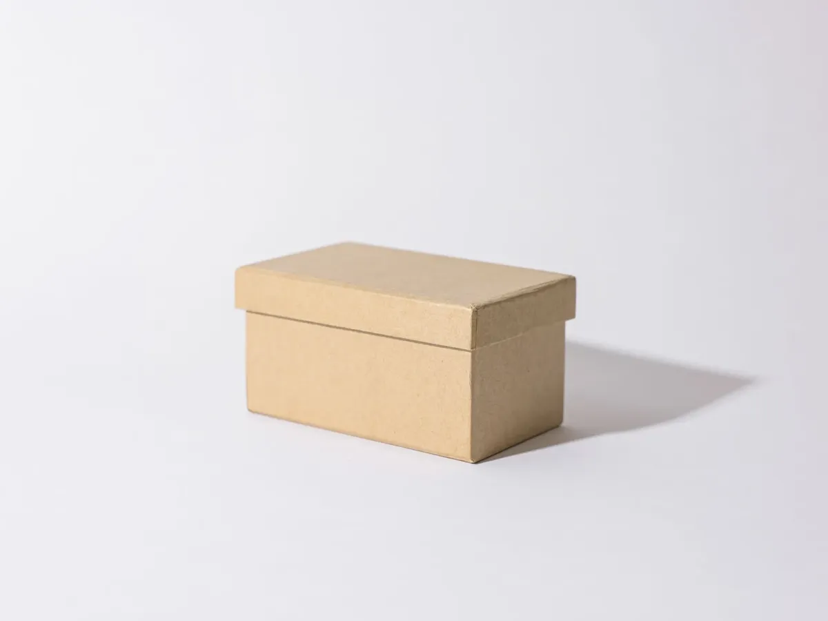 A plain kraft cardboard box on a white surface